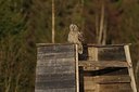 BUITEN BEELD Foto: 165484