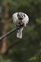 BUITEN BEELD Foto: 165486