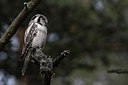 BUITEN BEELD Foto: 165490