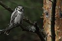 BUITEN BEELD Foto: 165494