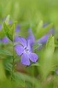 BUITEN BEELD Foto: 165495