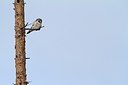 BUITEN BEELD Foto: 165496