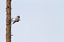 BUITEN BEELD Foto: 165500