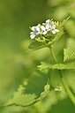 BUITEN BEELD Foto: 165511