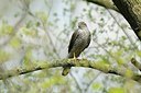 BUITEN BEELD Foto: 165518