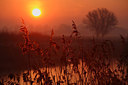 BUITEN BEELD Foto: 165544