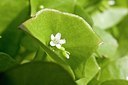 BUITEN BEELD Foto: 165549