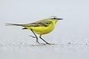 BUITEN BEELD Foto: 165573