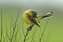 BUITEN BEELD Foto: 165575
