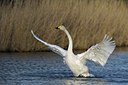 BUITEN BEELD Foto: 165584