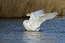 BUITEN BEELD Foto: 165587