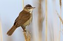 BUITEN BEELD Foto: 165644
