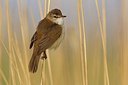 BUITEN BEELD Foto: 165653