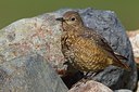 BUITEN BEELD Foto: 165750