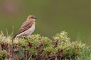 BUITEN BEELD Foto: 165791