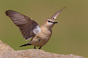 BUITEN BEELD Foto: 165802