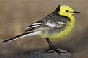 BUITEN BEELD Foto: 165826