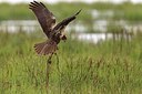 BUITEN BEELD Foto: 165837
