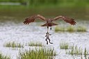 BUITEN BEELD Foto: 165839