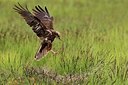 BUITEN BEELD Foto: 165844