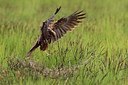 BUITEN BEELD Foto: 165846