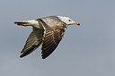 BUITEN BEELD Foto: 165859