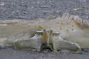 BUITEN BEELD Foto: 165871