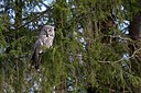 BUITEN BEELD Foto: 165873