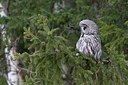 BUITEN BEELD Foto: 165874