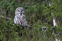 BUITEN BEELD Foto: 165875