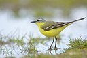 BUITEN BEELD Foto: 165890
