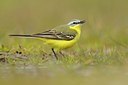 BUITEN BEELD Foto: 165893