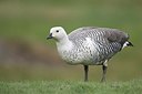 BUITEN BEELD Foto: 165975