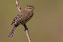 BUITEN BEELD Foto: 166006