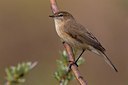 BUITEN BEELD Foto: 166009
