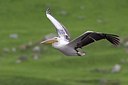 BUITEN BEELD Foto: 166114