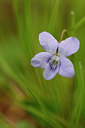 BUITEN BEELD Foto: 166115
