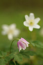 BUITEN BEELD Foto: 166118