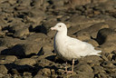 BUITEN BEELD Foto: 166126