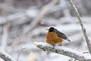 BUITEN BEELD Foto: 166147