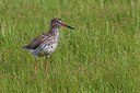 BUITEN BEELD Foto: 166148