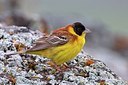 BUITEN BEELD Foto: 166236