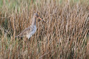 BUITEN BEELD Foto: 166371