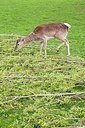 BUITEN BEELD Foto: 166386