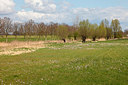 BUITEN BEELD Foto: 166415