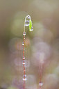 BUITEN BEELD Foto: 166453