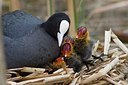 BUITEN BEELD Foto: 166492