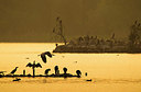 BUITEN BEELD Foto: 166500