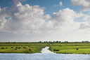 BUITEN BEELD Foto: 166503