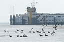 BUITEN BEELD Foto: 166518